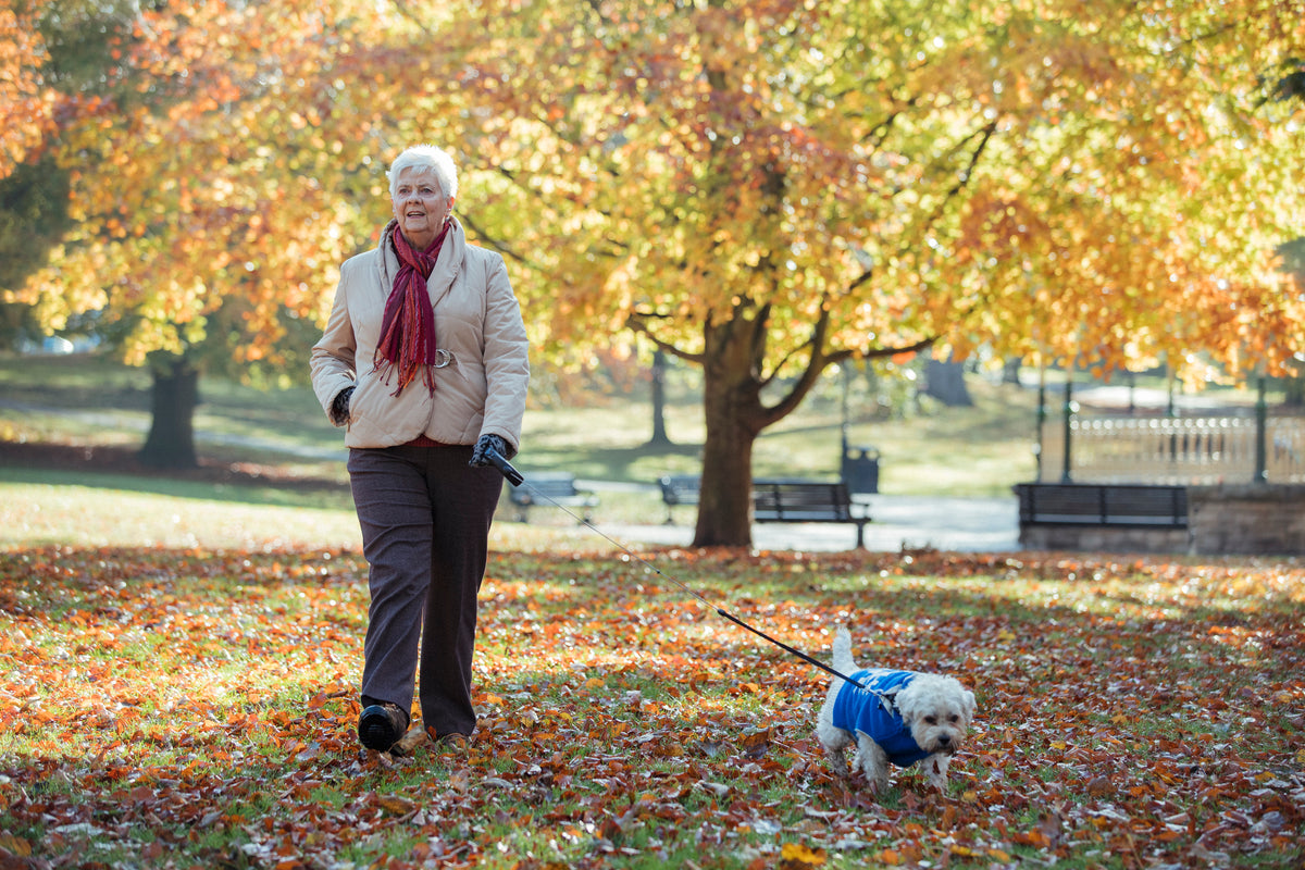 How The Elderly Can Prevent Falls: Practical Tips For Staying Safe 