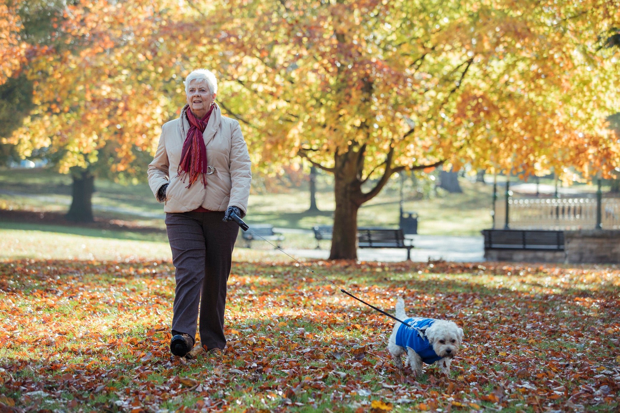 How the Elderly Can Prevent Falls: Practical Tips for Staying Safe